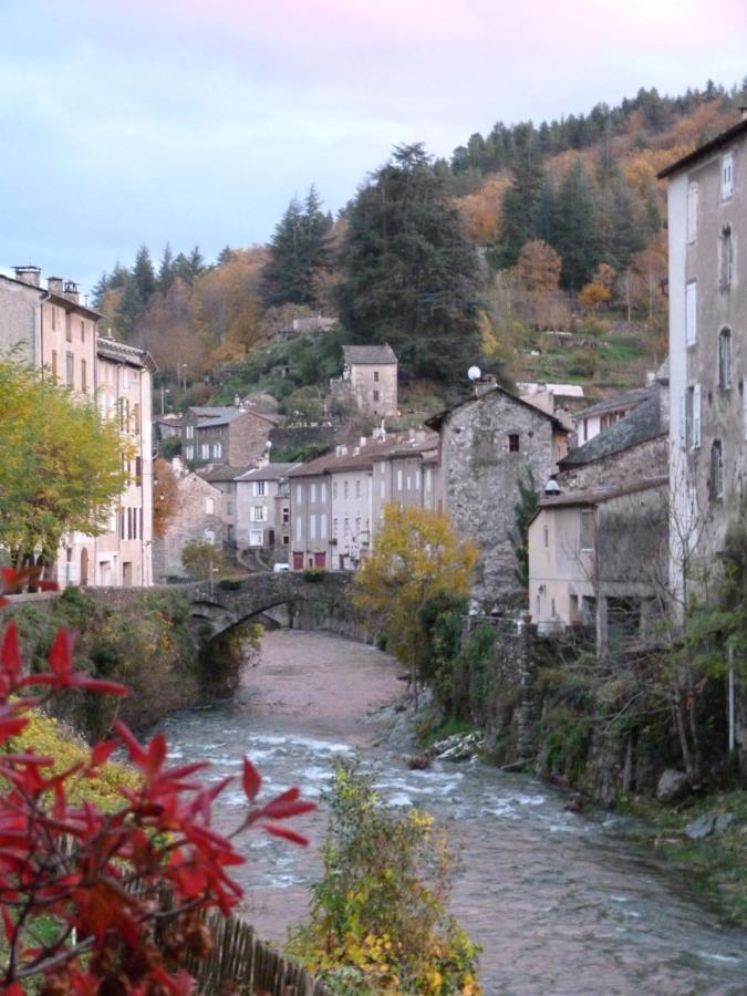 Cocon Des Cevennes - Pierre De Lune Saint-Andre-de-Valborgne Екстер'єр фото